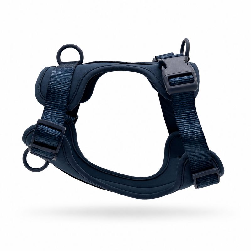 “Pacific” Harness