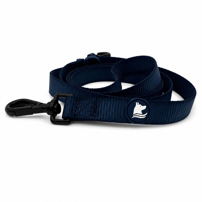 "Pacific" Leash