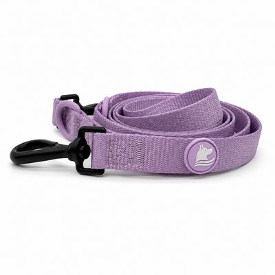 Lilac Leash