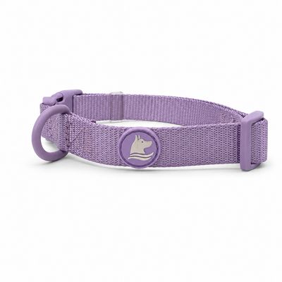 Lilac Collar