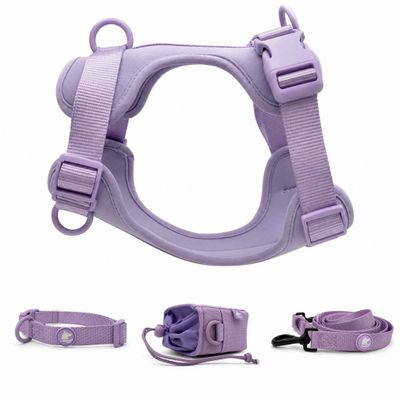 Lilac Collection