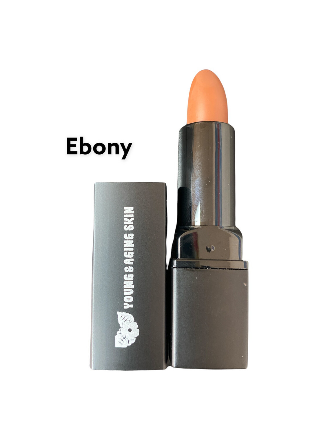 Concealer/Contour Stick in Ebony