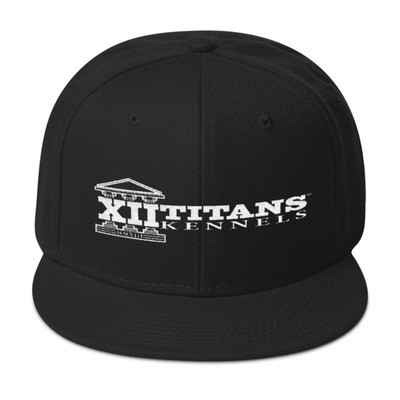 Signature Logo - Black Snapback Ball Cap