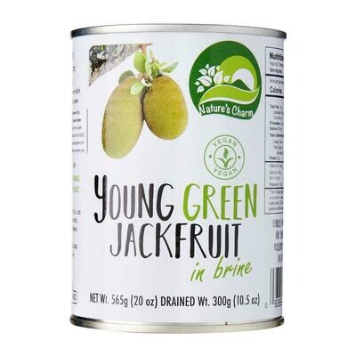 NATURE'S CHARM YOUNG GREEN JACKFRUIT IN BRINE 565g/2.9kg