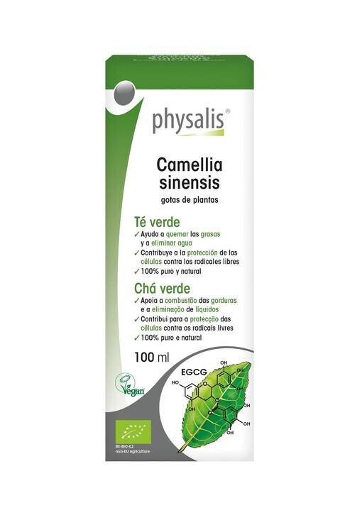 PHYSALIS ORGANIC GREEN TEA (Camellia sinensis) DROPS 100ml