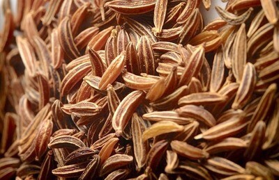 MC CARAWAY (Carum carvi) SEEDS 100g