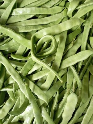 ORGANIC GREEN BEANS 500g
