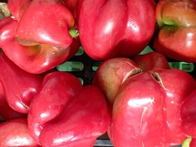 ORGANIC RED PEPPERS 500g