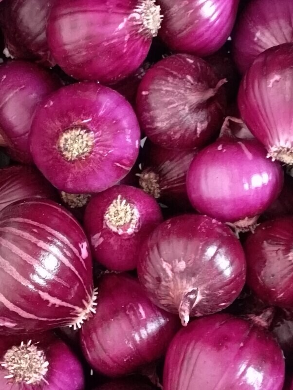 ORGANIC RED ONIONS 1kg