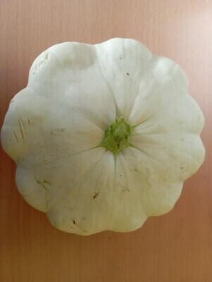 ORGANIC PATTYPAN COURGETTE 500g