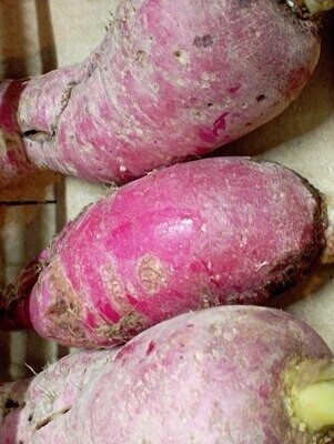 ORGANIC RED HORSERADISH 200g