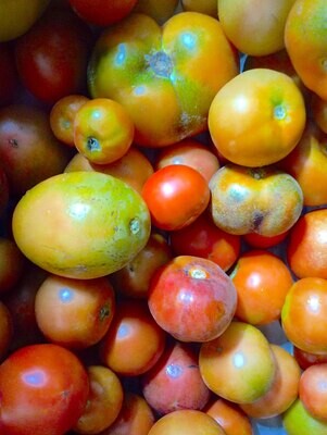 ORGANIC BEEFSTEAK TOMATOES 500g