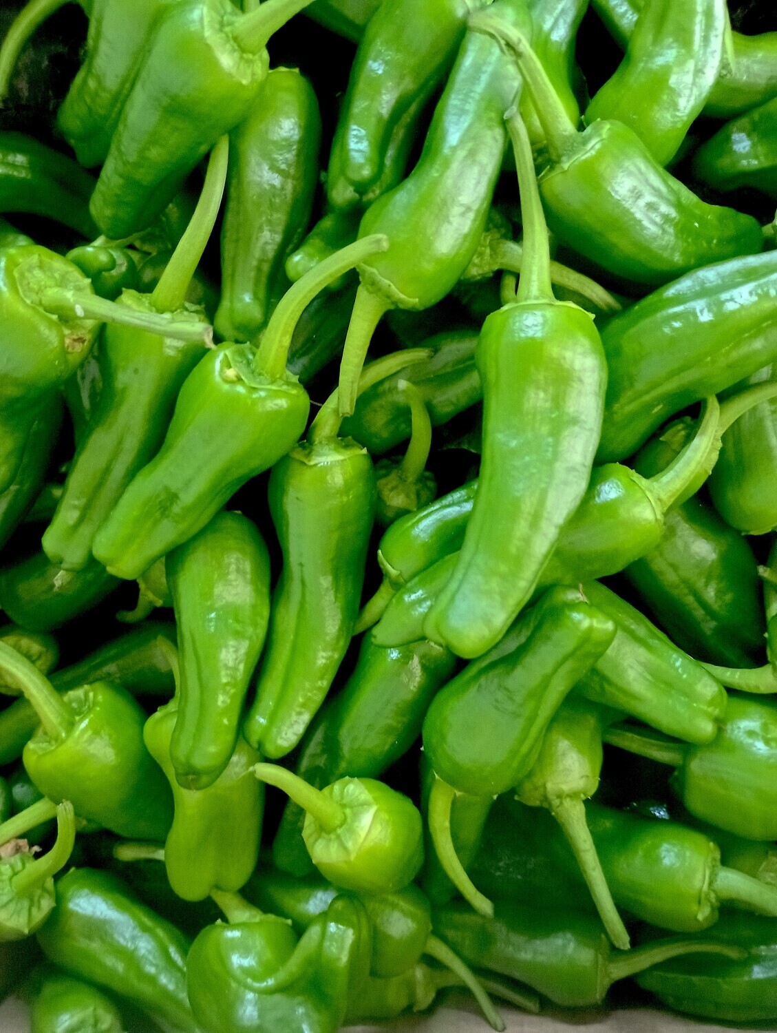 ORGANIC PADRON PEPPERS 200g