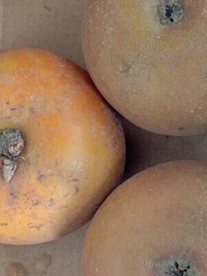 ORGANIC REINETTE APPLES 500g