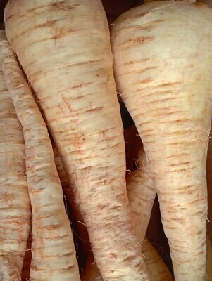 ORGANIC PARSNIPS 500g