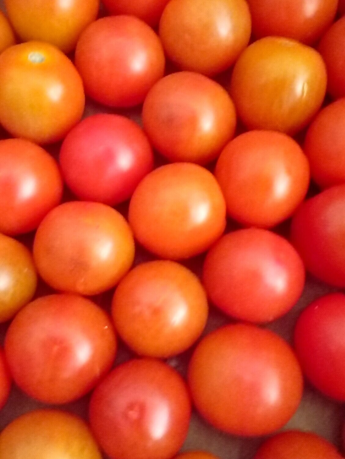ORGANIC CHERRY TOMATOES 200g