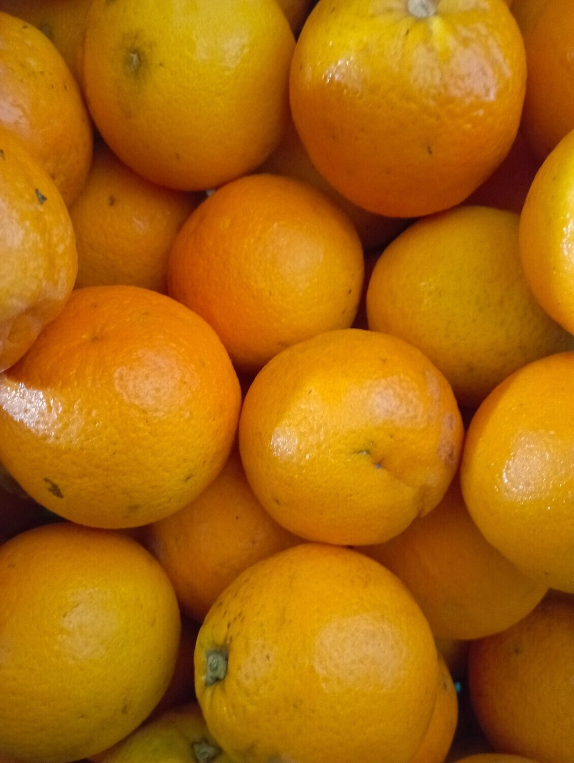 ORGANIC ORANGES 1kg