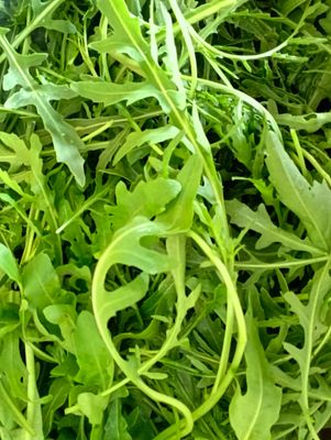 ORGANIC ROCKET 100g