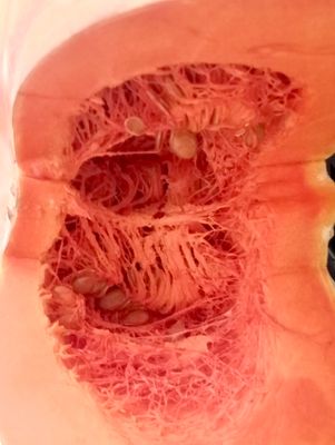 ORGANIC MENINA SQUASH (PUMPKIN) SLICES 500g