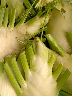 ORGANIC FENNEL BULBS 500g