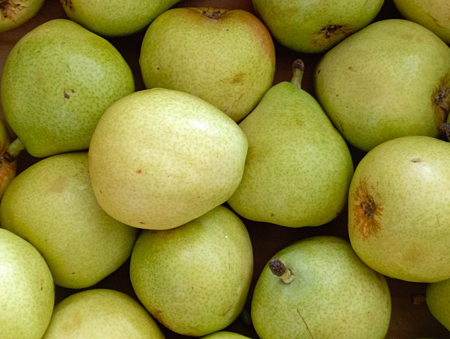 ORGANIC ROCHA PEARS 500g