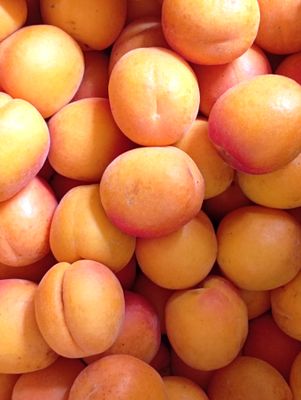 ORGANIC APRICOTS 200g
