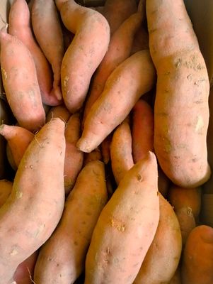 ORGANIC ORANGE SWEET POTATOES 1kg