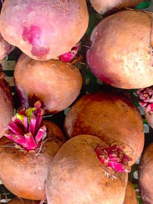 ORGANIC RED BEETROOTS 500g