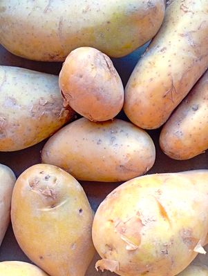 ORGANIC WHITE POTATOES 1kg