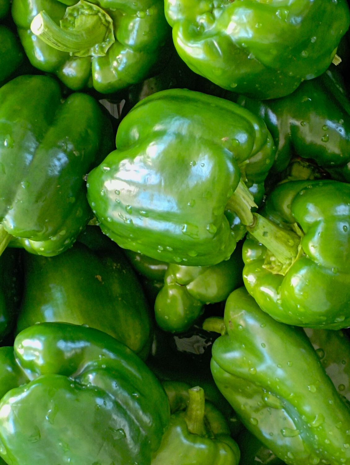 ORGANIC GREEN SWEET PEPPERS 200g