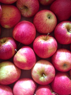 ORGANIC ROYAL GALA APPLES 500g