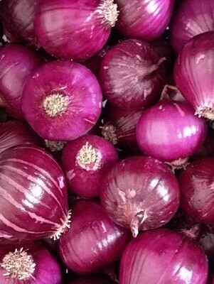ORGANIC NEW RED ONIONS 1kg