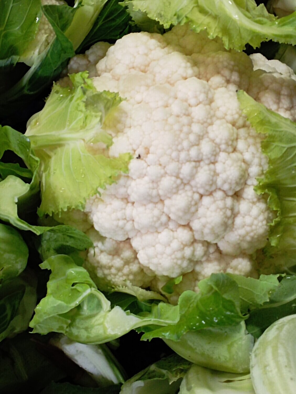 ORGANIC CAULIFLOWER 500g