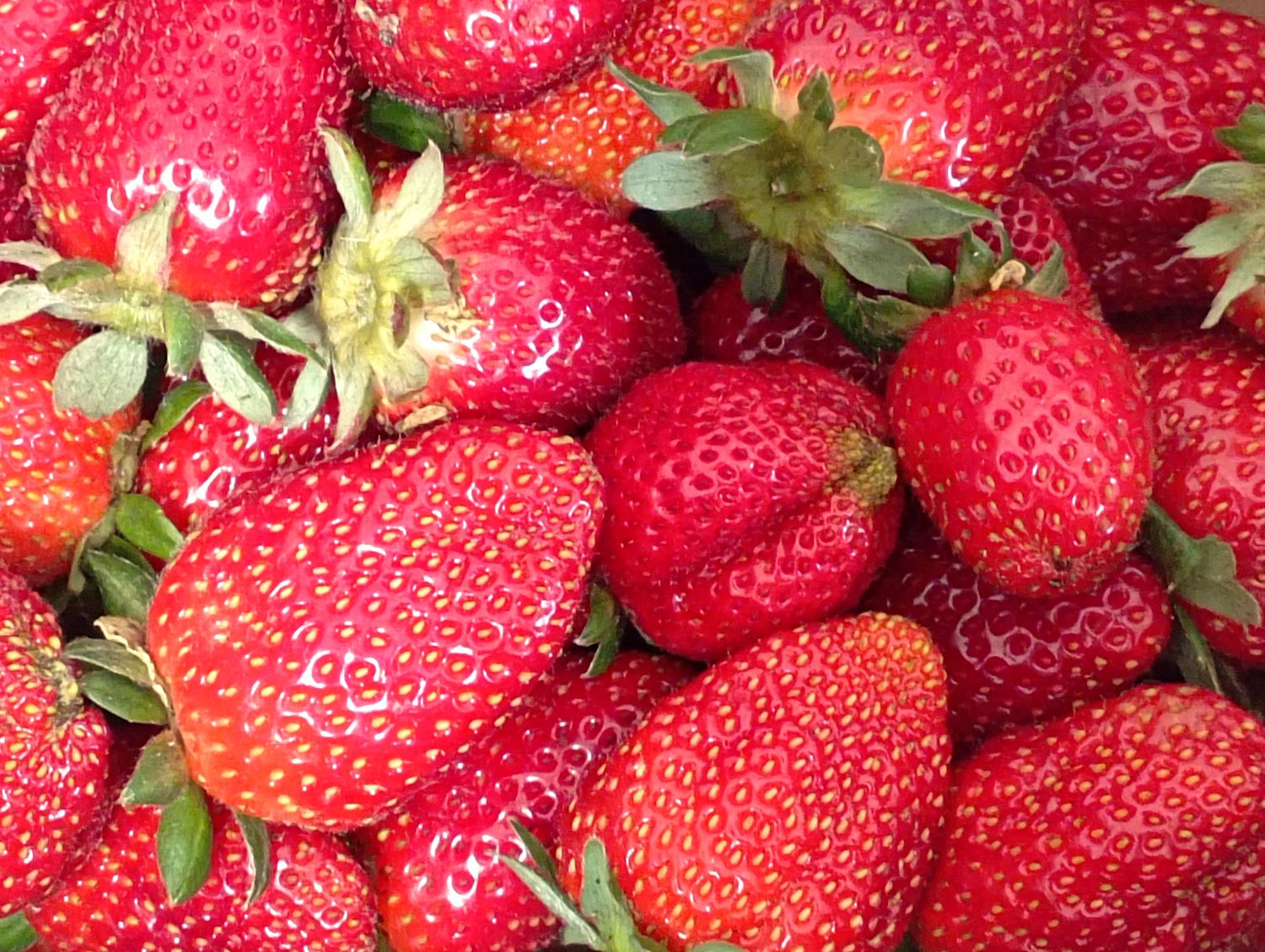 ORGANIC STRAWBERRIES 500g