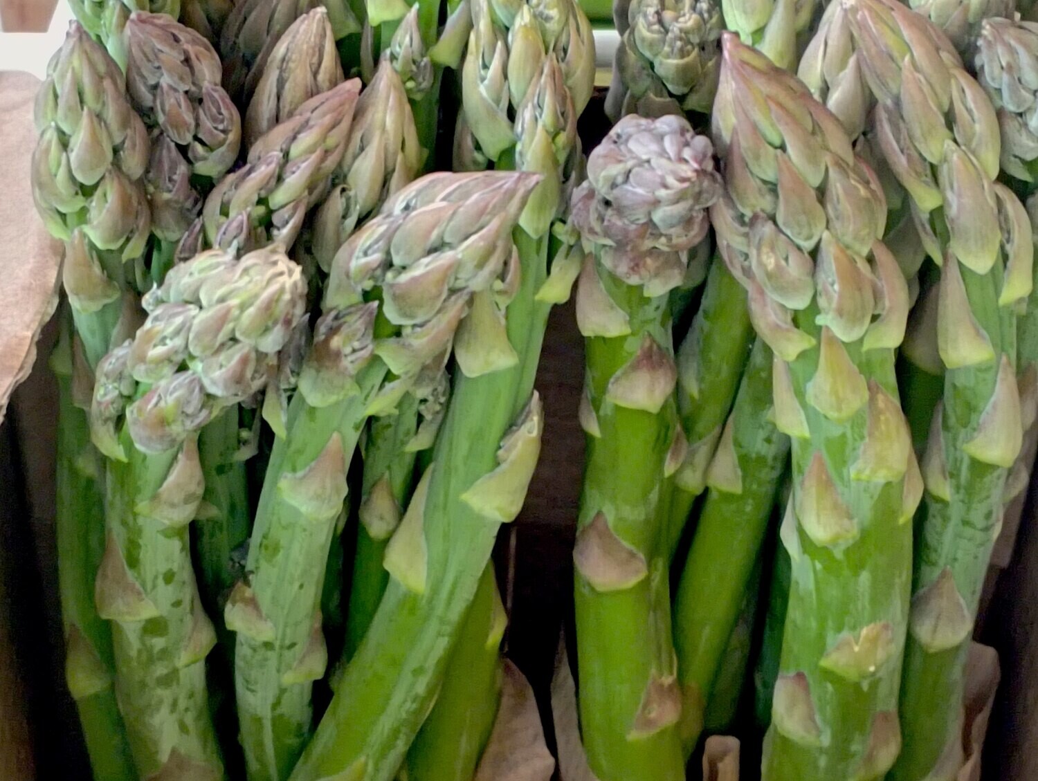 ORGANIC GREEN ASPARAGUS 200g