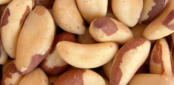 PRÓVIDA ORGANIC SHELLED BRAZIL NUTS 1kg