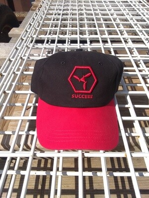 001_SUCCESS HAT_BANKER/BUSINESS OWNER