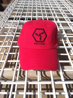 004_SUCCESS HAT_BANKER/BUSINESS OWNER