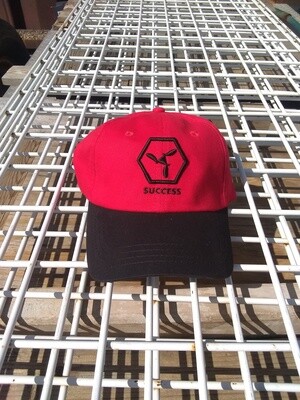 002_SUCCESS HAT_BANKER/BUSINESS OWNER