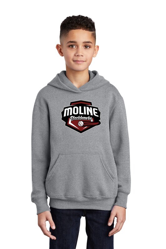 Moline Blackhawks Shield Logo Youth Fleece Pullover Hooded Sweatshirt