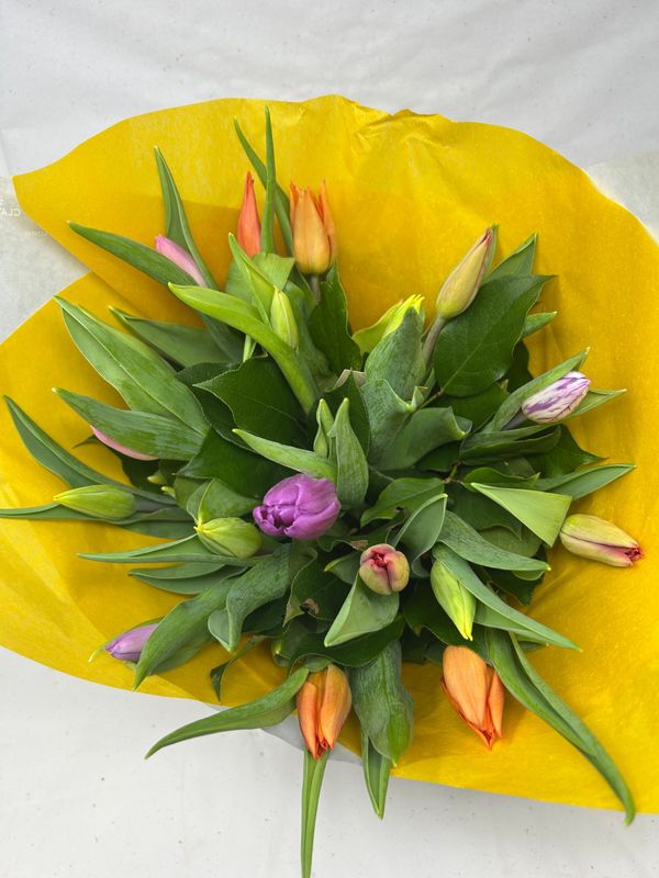 ?Bouquet de tulipes Française ??