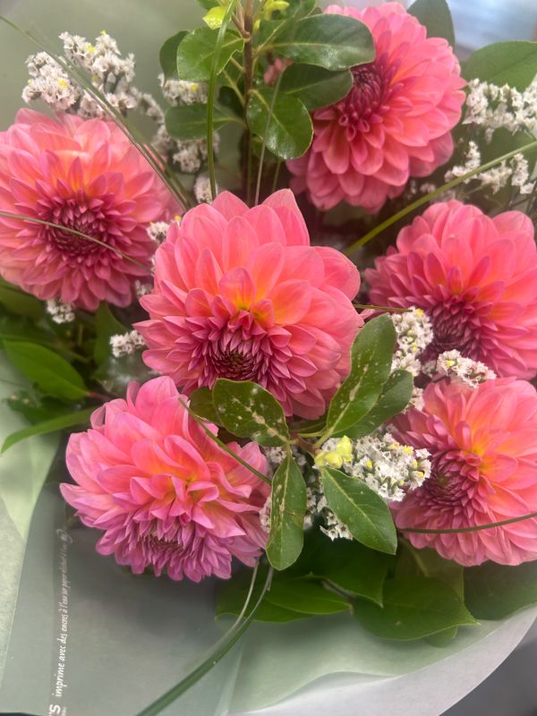 ?Bouquet de Dahlia ?Bouquet de Dahlia