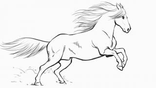 Learn to Draw Books
