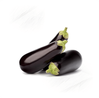 Fresh Veg. Aubergine