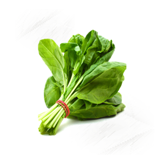 Fresh Veg. Spinach