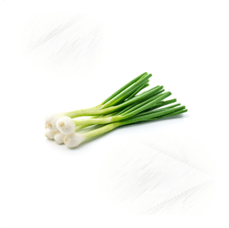 Fresh Veg. Spring Onion