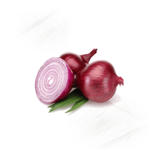 Fresh Veg. Onion Red