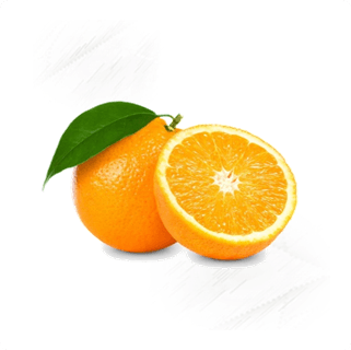 Fresh Fruit. Oranges