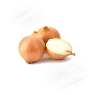 Fresh Veg. Onion