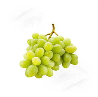 Fresh Fruit. Grapes Green